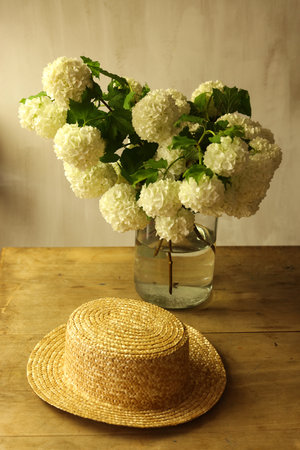Bouquet of white snowball viburnum flowers in vase and straw hat on wooden tableの写真素材