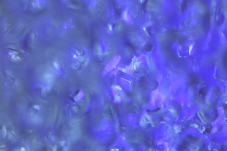 hydrogel balls in blue light abstract background, close up.の写真素材