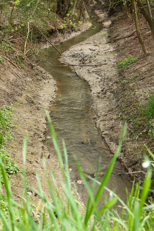 landscape with a small stream in the spring forestの写真素材
