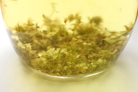 Herbal thyme tea in a glass jar, shallow depth of field.の写真素材