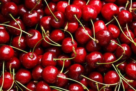 Cherries background. Top view of fresh red cherries.の写真素材