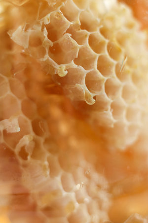 Honeycombs with honey and beeswax close-up