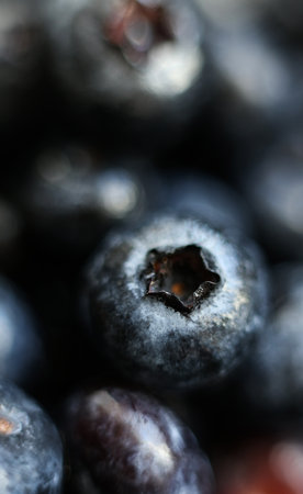 Close up of fresh blueberries. Shallow depth of field.の写真素材