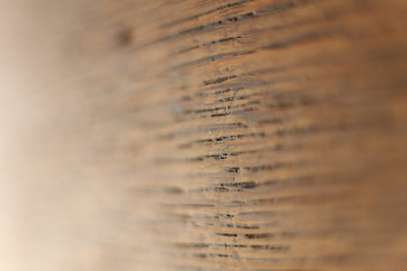 Wooden texture. Close-up of the surface of a wooden board.の写真素材