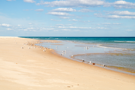 Sunny view of the lagoon beach of Fuseta, Ria Formosa Natural park, Portugalの写真素材