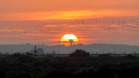 Sun set at the salt evaporation ponds at the flamingo watch reserve in Olhao, Ria Formosa Natural park, Portugalの写真素材