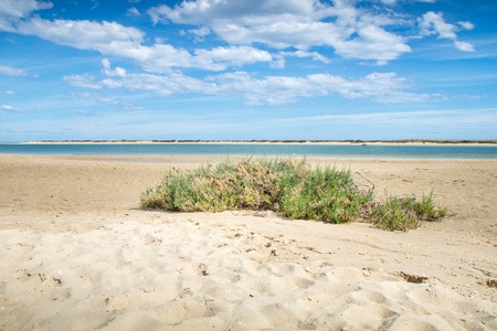 Sunny view of the local beach in Fuseta, Ria Formosa Natural park, Portugal.の写真素材