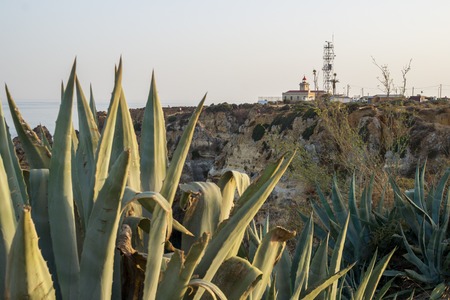 Distant view of Farol da Ponta da Piedade in Lagos, Portugal.のeditorial素材