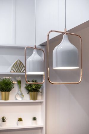 A pair of rose gold and white light fixtures in front of a white wall background with shelving and green plants.の写真素材