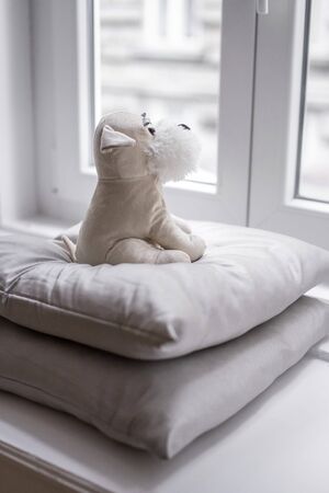 Beige plush puppy sitting on pillows, looking out the window.の写真素材