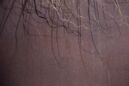 Rusty metal textured surface exterior decoration with abstract shadows lit by sun light.の写真素材