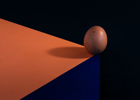 <p>One brown egg on a blue and orange background with a shadow.</p>の写真素材