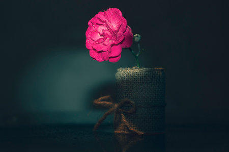 Pink rose in a vase on a black background. Selective focus.