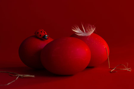 Easter eggs with ladybug on red background. Happy Easter concept.の写真素材