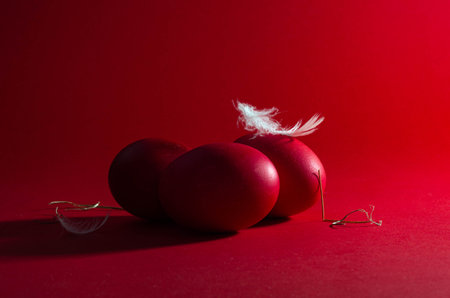 Easter eggs with feathers on a red background. Copy space.の写真素材