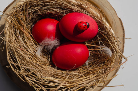 Easter eggs in a nest with a ladybug on a white backgroundの写真素材