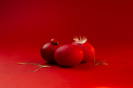 Red easter eggs with ladybug on red background. Easter conceptの写真素材