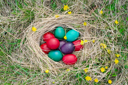 Easter eggs in nest on grass. Colorful easter eggs in nestの写真素材