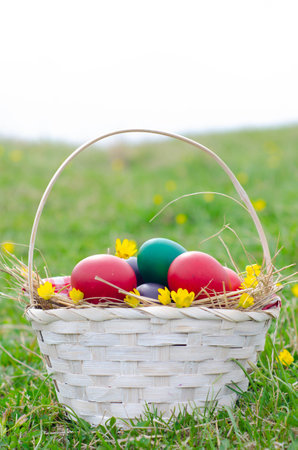 Colorful easter eggs in basket on green grass with yellow flowersの写真素材