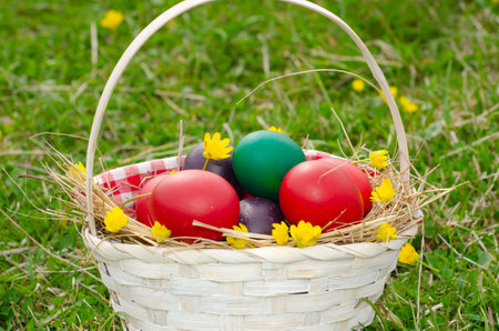 Easter eggs in basket on green grass with yellow and red flowersの写真素材