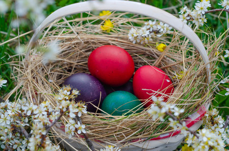 Easter eggs in a basket on the grass. Selective focus.の写真素材