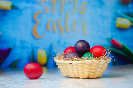 Easter eggs in a basket on a blue background with tulipsの写真素材