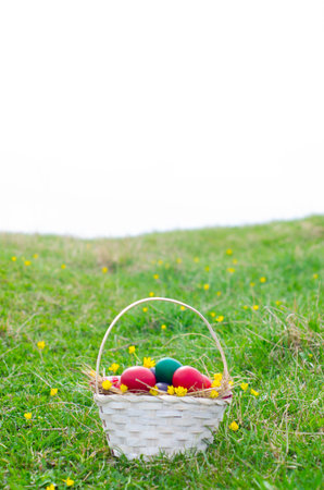 Colorful easter eggs in basket on green grass with yellow flowersの写真素材