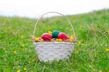 Easter eggs in a basket on green grass with yellow flowers.の写真素材
