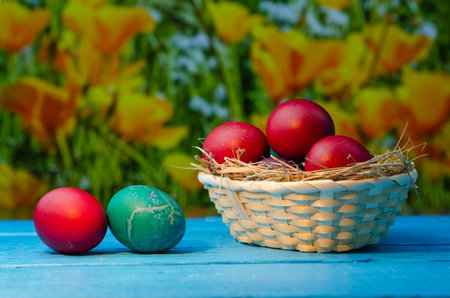 Colorful easter eggs in a basket on a blue wooden backgroundの写真素材