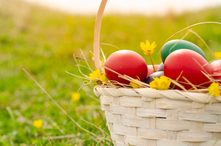 Easter eggs in a basket on a green grass with flowers.の写真素材