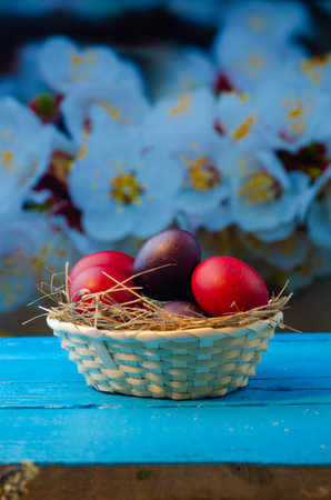 Easter eggs in a basket on a blue wooden table with flowersの写真素材