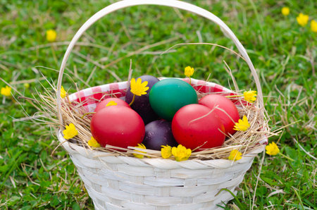 Colorful easter eggs in a basket on green grass background.の写真素材