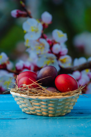 Easter eggs in a basket on a blue wooden table with blooming branchesの写真素材