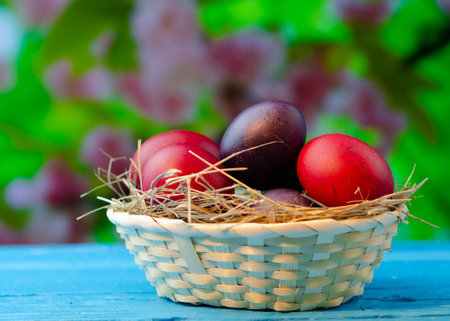 Easter eggs in a basket on a blue wooden table with pink flowersの写真素材