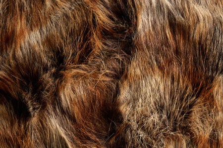 texture skin hairs brown and black background wallpaper otter wolf bison