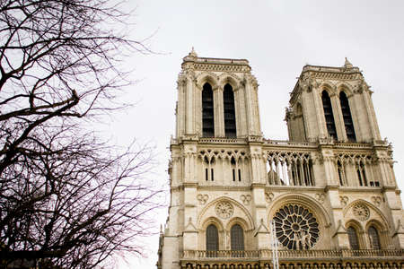 Notre Dame Cathedral in Parisの写真素材
