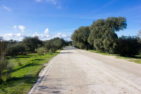 Roadの写真素材