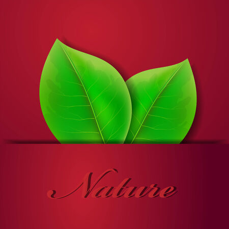 Two green leaves which are stickingのイラスト素材