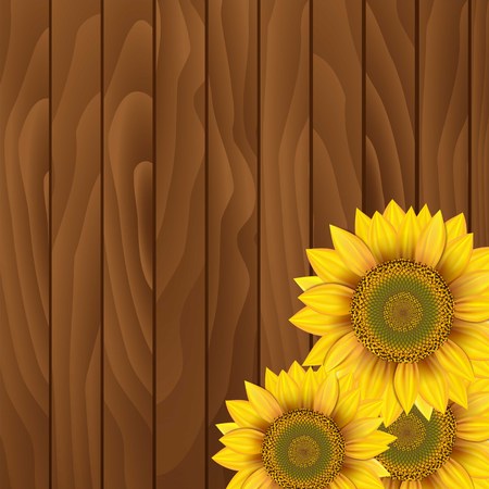 Sunflowers on wooden backgroundのイラスト素材