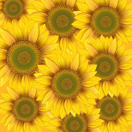 Nature background with yellow sunflowers のイラスト素材