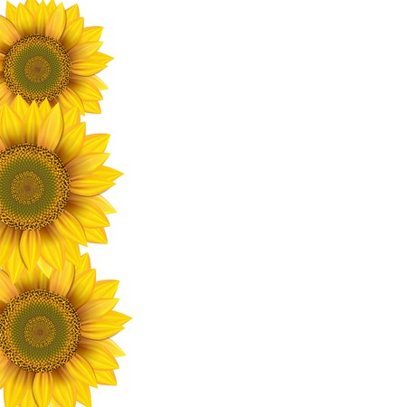 Sunflowersのイラスト素材