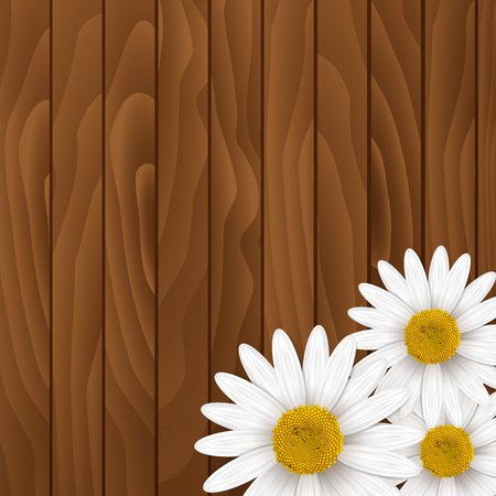 Chamomiles Backgroundのイラスト素材