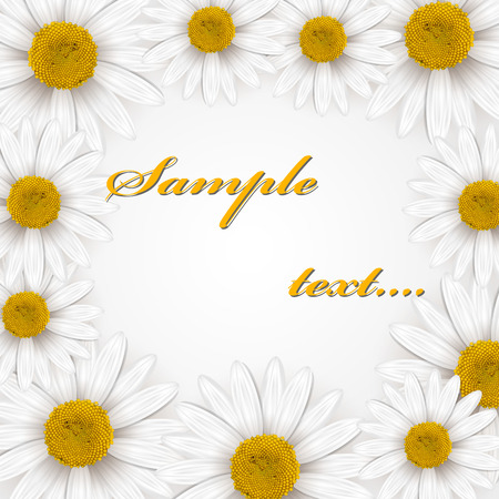 Daisies frameのイラスト素材