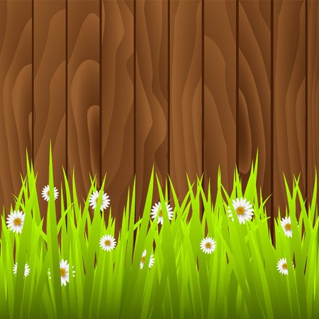 Daisies with fenceのイラスト素材