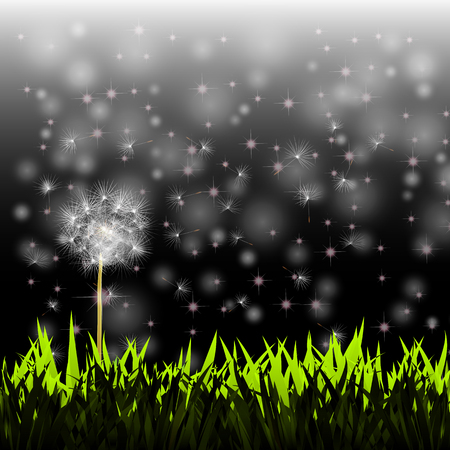 Dandelion in the windのイラスト素材