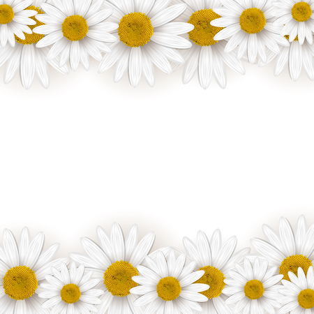 Daisies frameのイラスト素材