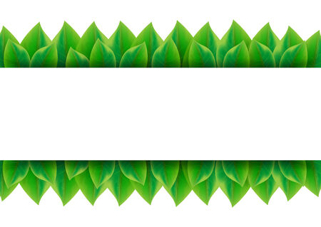 Green leaves background with place for textのイラスト素材