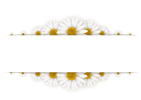 Daisies frame on a white backgroundのイラスト素材