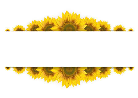 Frame of sunflowers on a white backgroundのイラスト素材