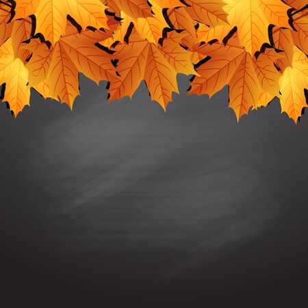 Frame of autumn leaves on black chalkboard.のイラスト素材